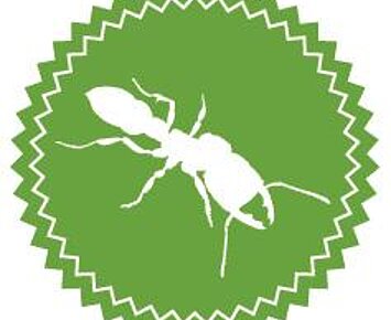 Forschungskurs (9–11 Jahre): Insekten – sechsbeinige Vielfalt