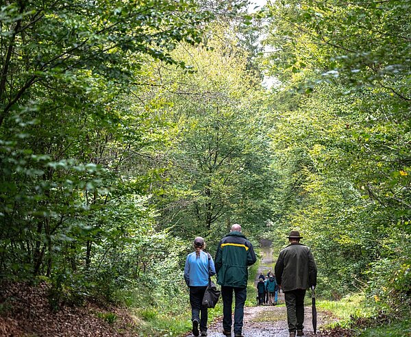 Personen laufen auf Waldweg