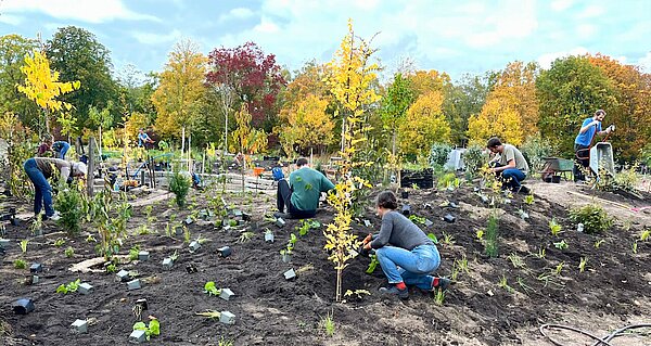Mitmachpflanzung im Urbanen Waldgarten Berlin Britz