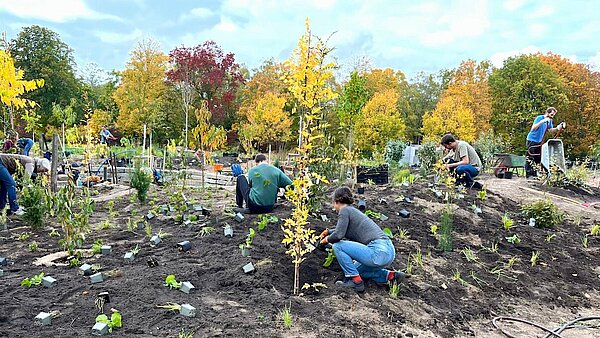 Mitmachpflanzung im Urbanen Waldgarten Berlin Britz