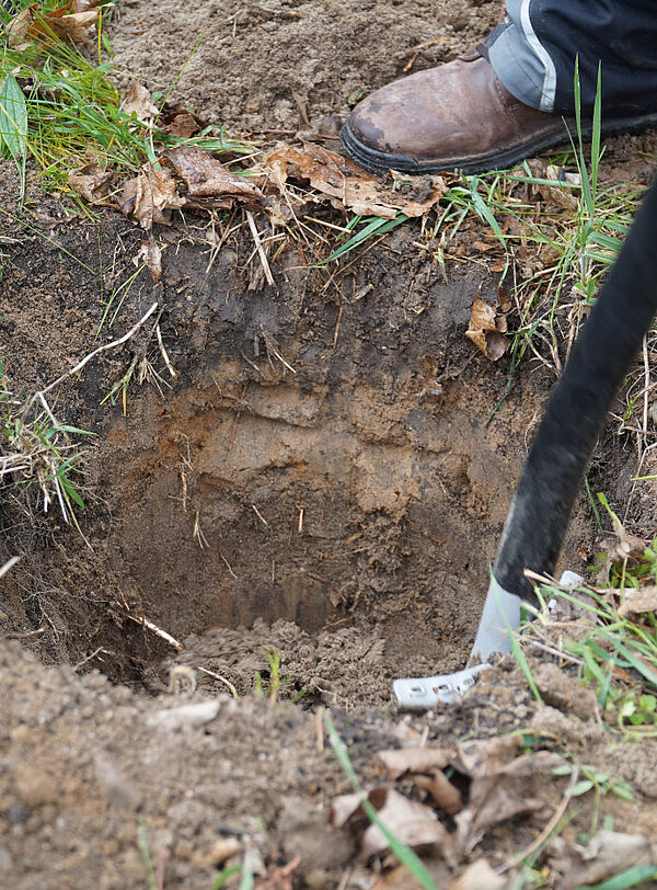 Ausgegrabenes Loch. Bodenprofil sichtbar