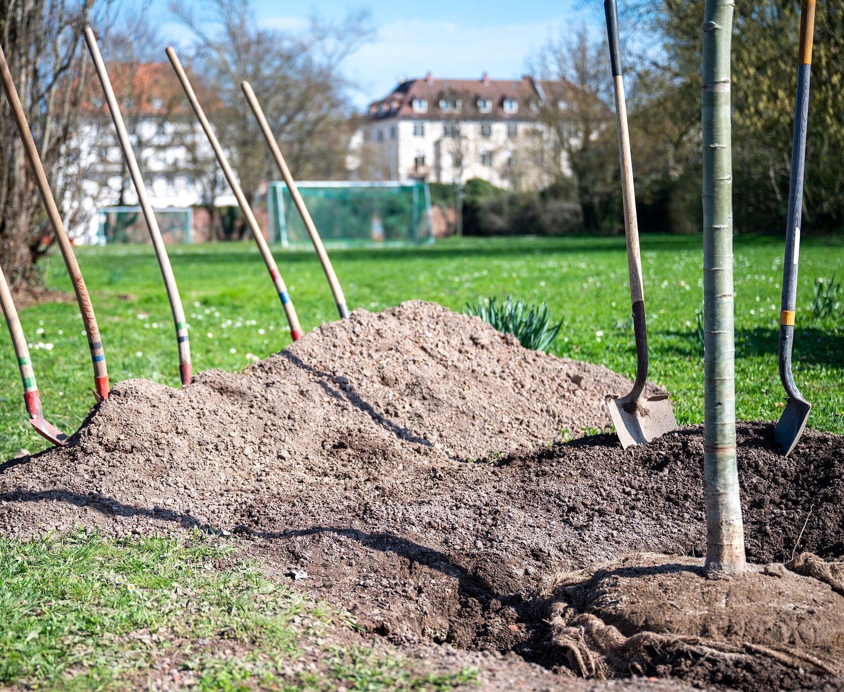 Baumpflanzung im Otto-Dullenkopf-Park anlässlich des Tag des Baumes 2026