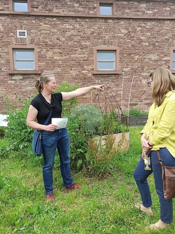 10 Jahre Offene Pforte und Urban Gardening