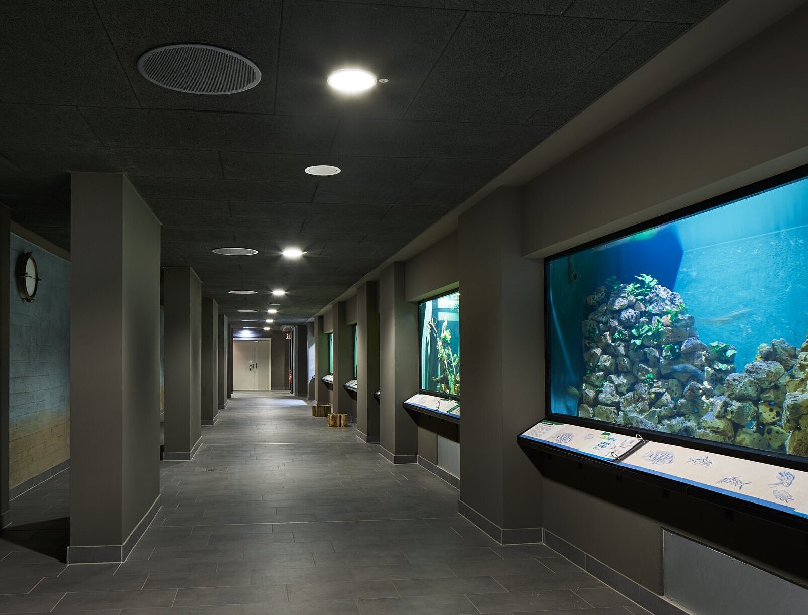 Blick entlang des leicht beleuchteten, grauen Flurs mit Aquarien für die Fische.