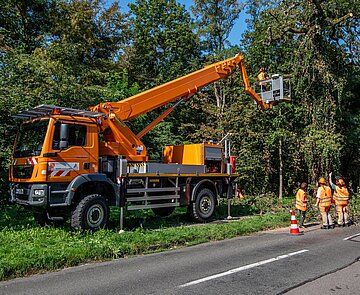 Bettina Lisbach steht mit Baumpflegerinnen vor einer Eiche. Neben ihnen steht der Hubsteiger.