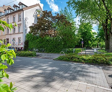 Eine wichtige Rolle für das lokale Klima spielen Stadtbäume, wie hier im Südstadt-Grünzug an der Wilhelmstraße.
