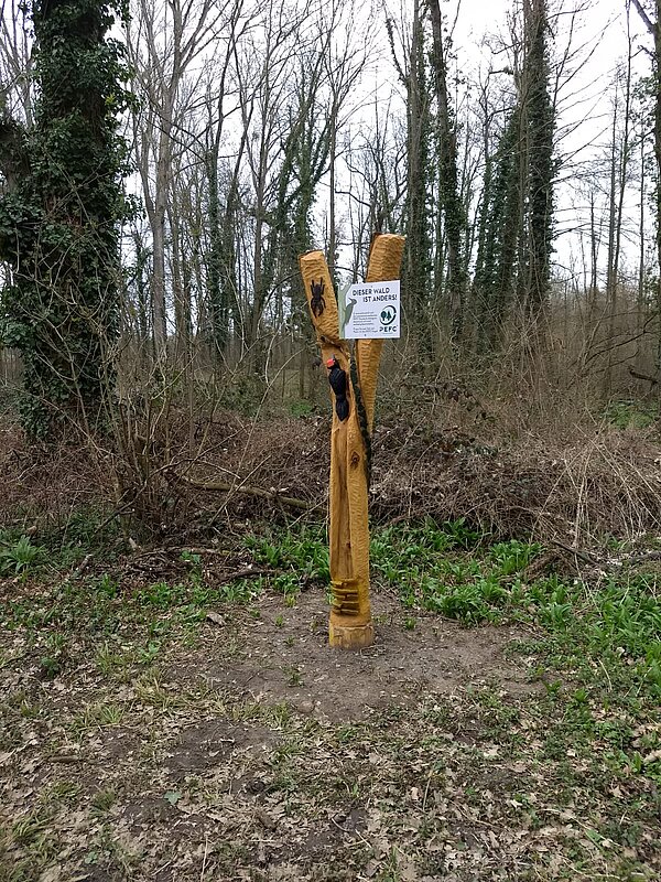 Das Bild zeigt ein Holzkunstwerk mit Infoschild zu PEFC.