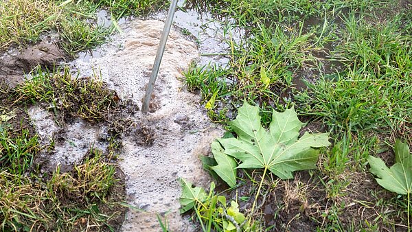 Mitarbeiter bei der Bekämpfung eines Ameisennestes mit dem Heißwasserdampfgerät.