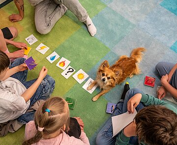 Lesehund Capper liegt auf buntem Teppich, mit Bilderkarten umringt von Kindern