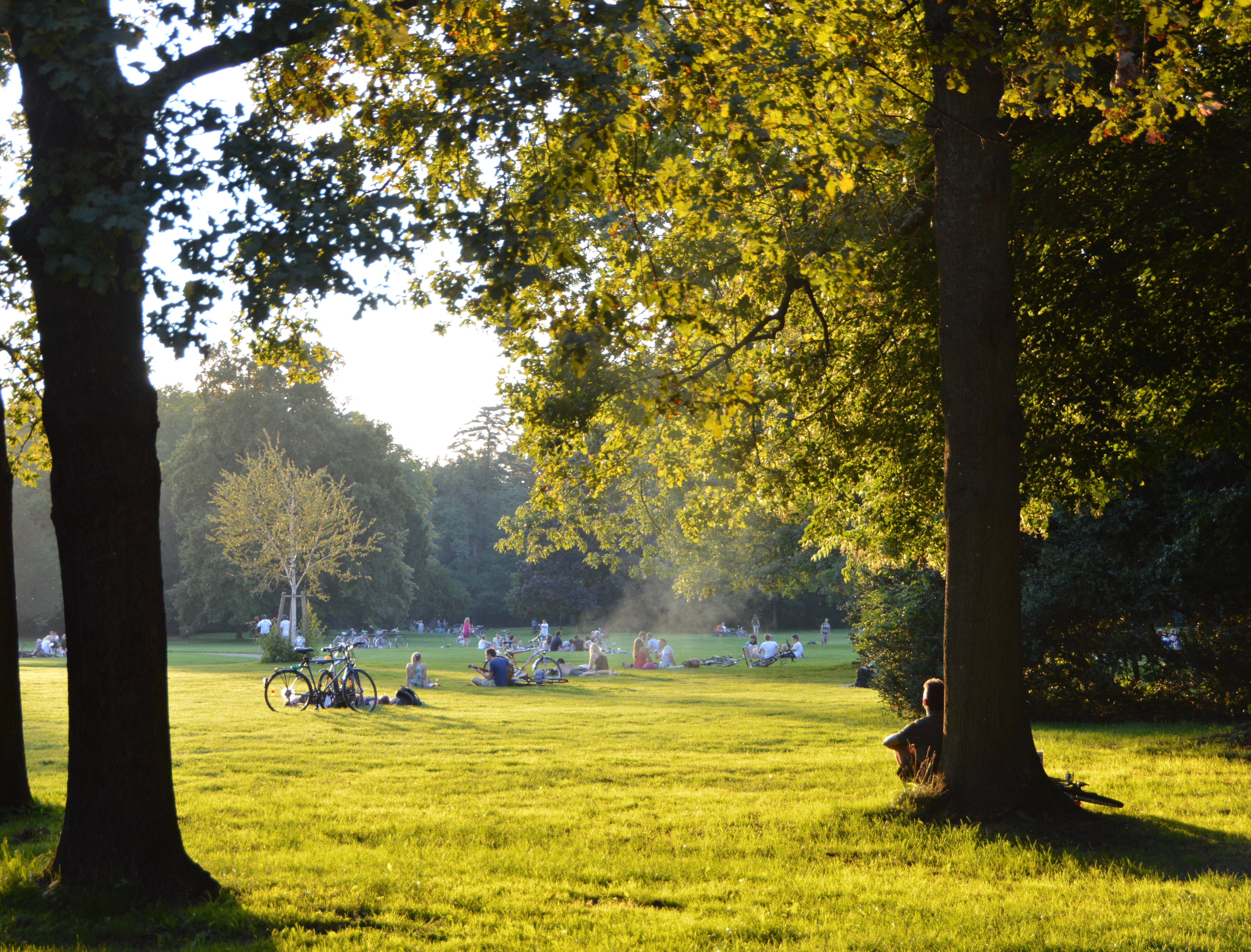 Sommerabend im Schlossgarten