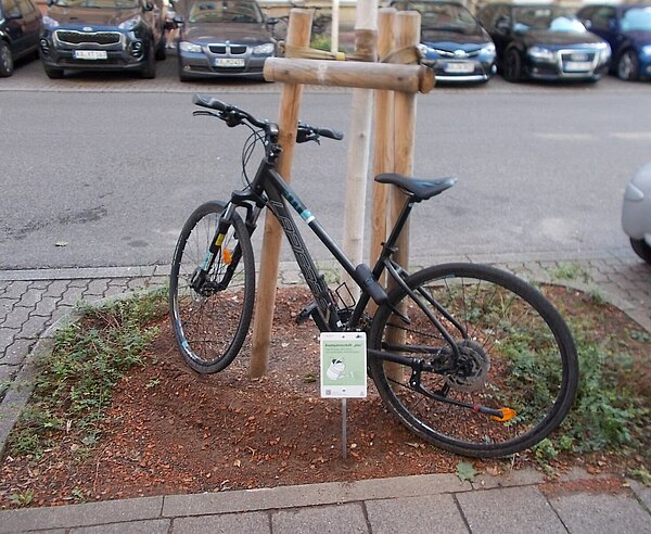 Fahrräder und Hundekot stellen für ehrenamtlich tätige Personen bei der Pflege von Baumscheiben eine enorme Herausforderung dar