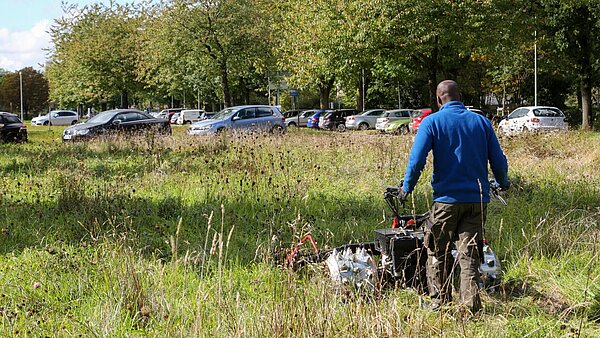 naturnahe Mahd, Wiesenmahd