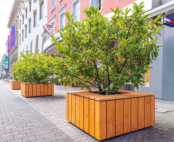 Pflanzkübelgestaltung in der Herrenstraße
