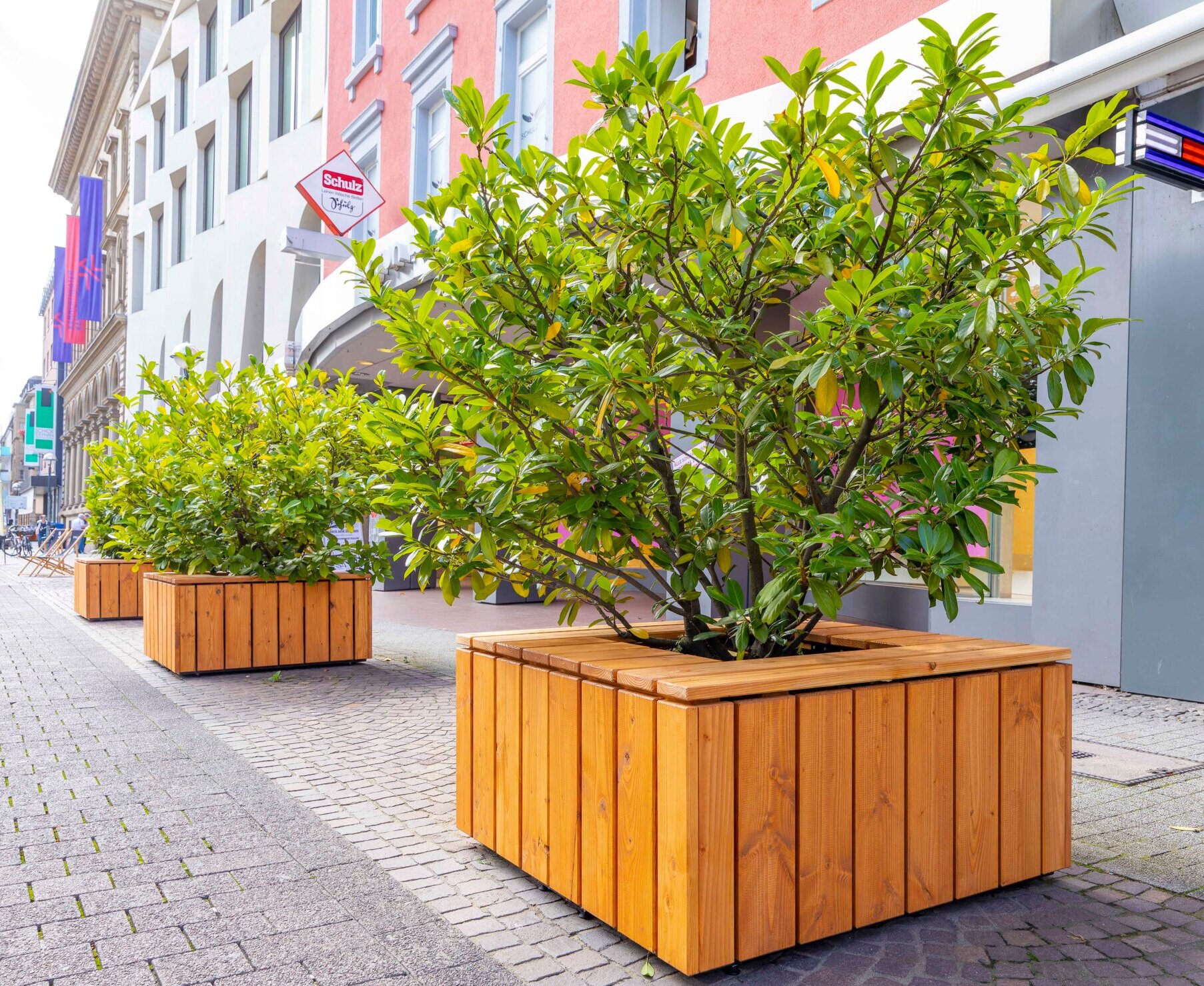 Pflanzkübelgestaltung in der Herrenstraße