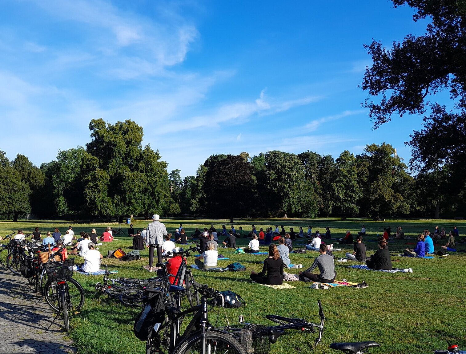 Das Foto zeigt Teilnehmende am Sport im Park 2025