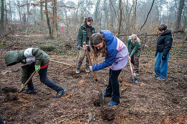 Baumpflanzaktion 2025/26 - 03