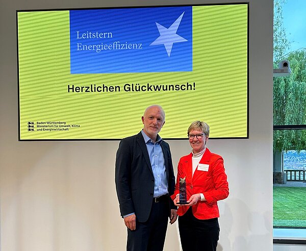 Leitstern Energieeffizienz