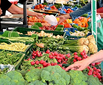 Ein Marktstand auf dem Stephanplatz mit frischem Gemüse