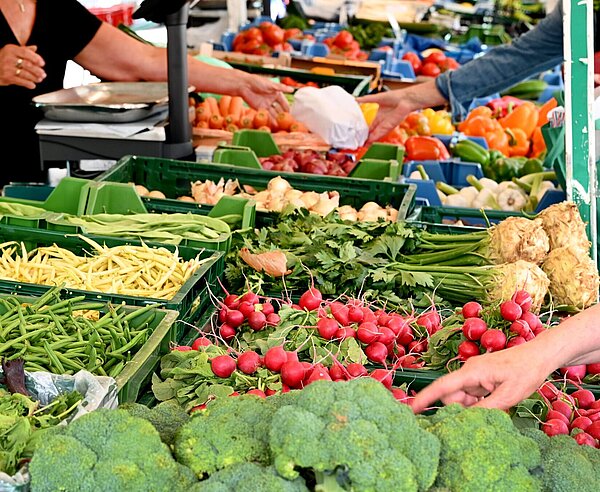 Ein Marktstand auf dem Stephanplatz mit frischem Gemüse