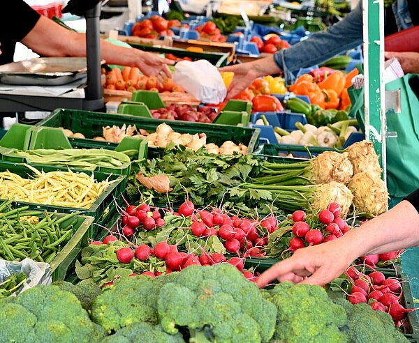 Ein Marktstand auf dem Stephanplatz mit frischem Gemüse
