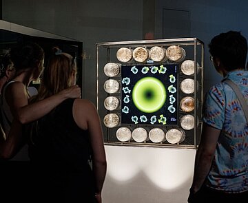 Personen nachts vor einem beleuchteten Medienkunstwerk in einem Schaufenster