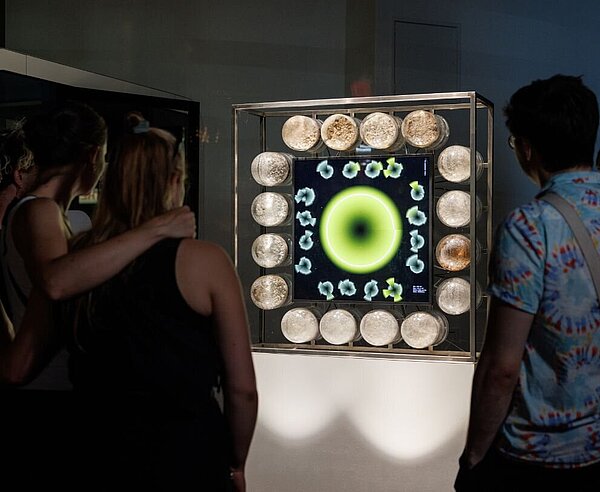Personen nachts vor einem beleuchteten Medienkunstwerk in einem Schaufenster