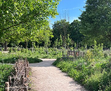 Beispiel eines urbanen Waldgartens