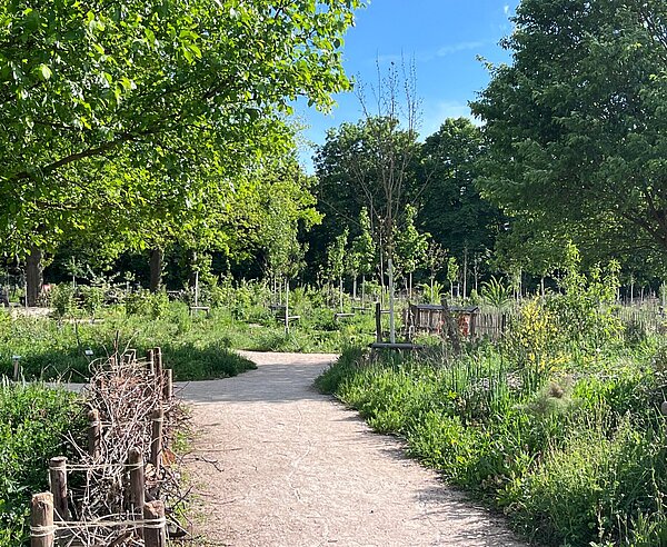Beispiel eines urbanen Waldgartens