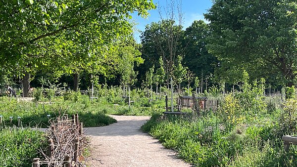 Beispiel eines urbanen Waldgartens