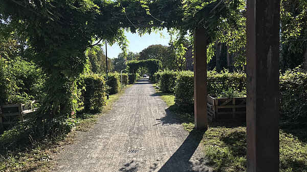 Bilder Ist-Zustand Abschnitt 3: Virchowstraße bis Blücherstraße. Dragonerareal