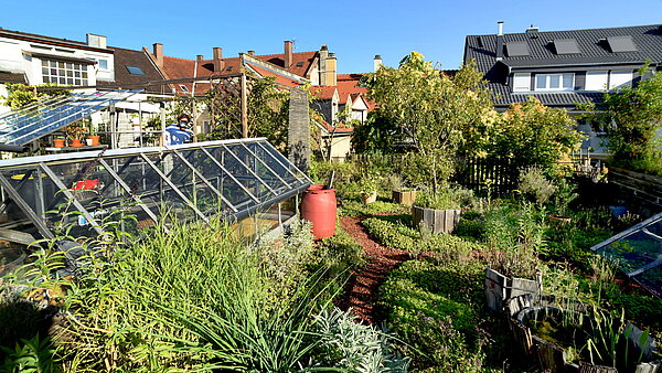 Dachgarten in der Karlsruher Oststadt