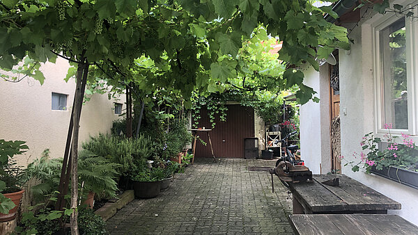 Weinlaube in der Dreikönigstrasse