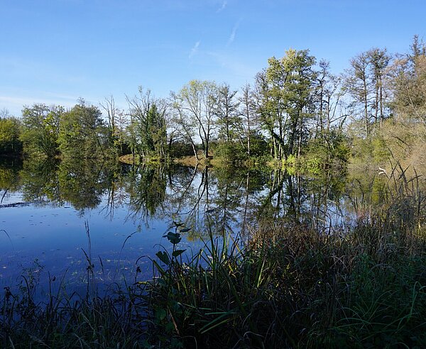 Baggersee Fritschlach