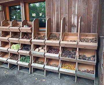 Herbstbasteln Materialien