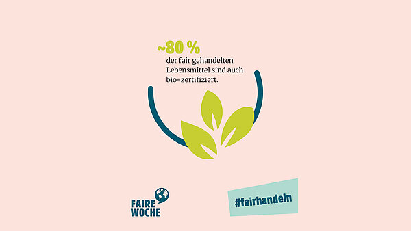 Grafik Rund 80 Prozent der fair gehandelten Lebensmittel sind auch bio zertifiziert.