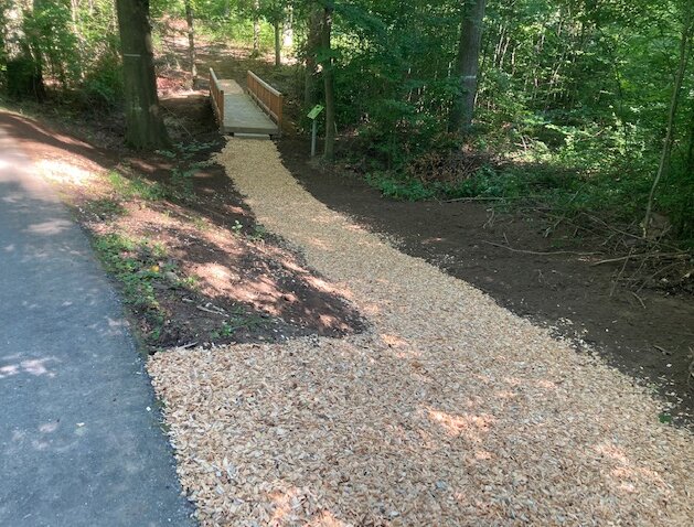 Das Bild zeigt die Brücke des Pfades "WaldWelt".