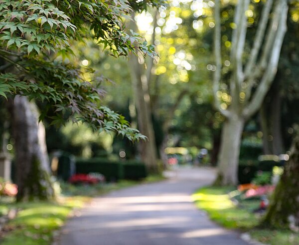 Hauptfriedhof Karlsruhe