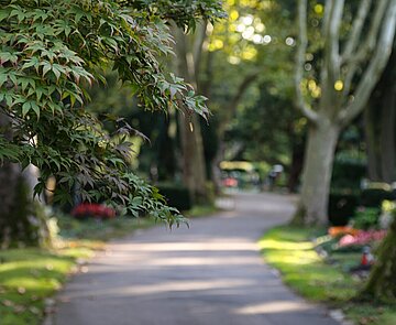 Sommerliche Atmospähre  auf dem Hauptfriedhof Karlsruhe
