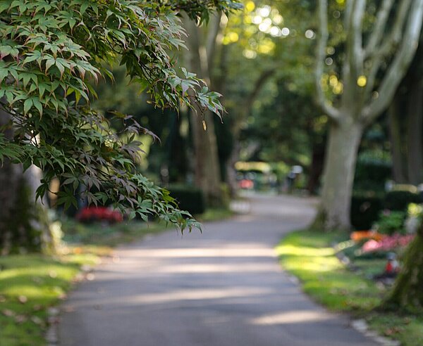 Sommerliche Atmospähre  auf dem Hauptfriedhof Karlsruhe