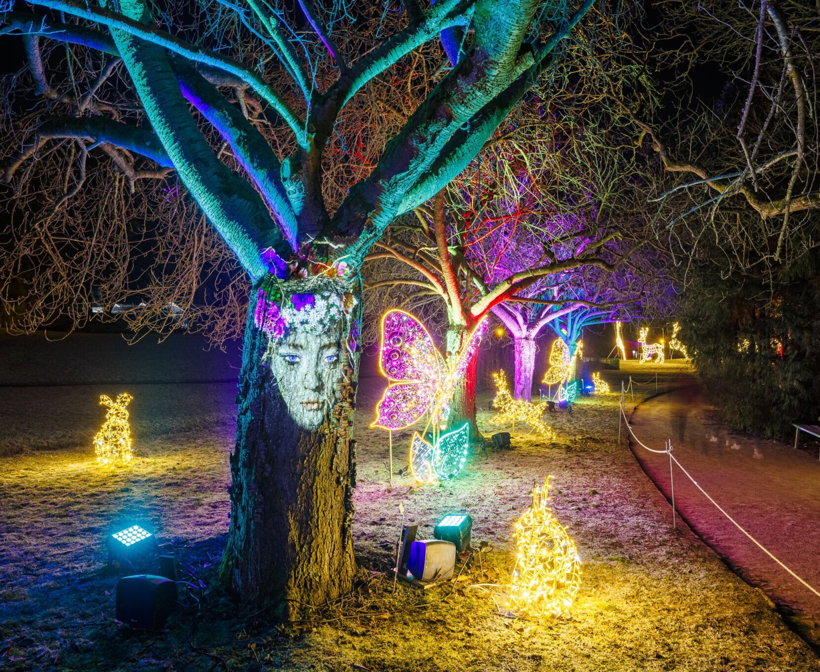 Natura beim Christmas Garden 2022 in Berlin