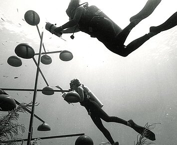 Léa Sisombat: The Ocean as Medium. Jürgen Claus’s exploration of ecological art through