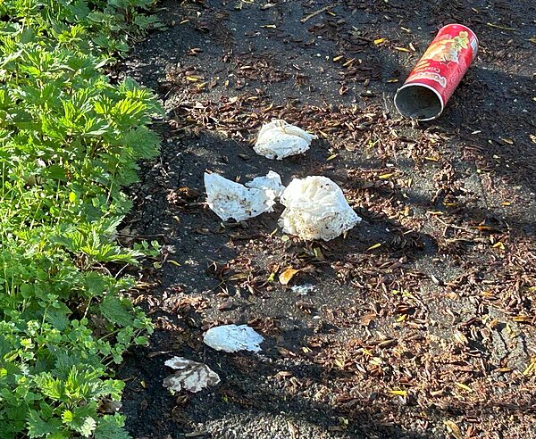 Abfall auf Grünfläche
