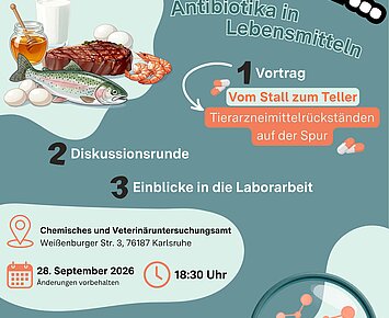 Labs Talk About