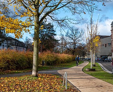 neugestalteter östlicher Teil der Hildapromenade im Herbstlicht