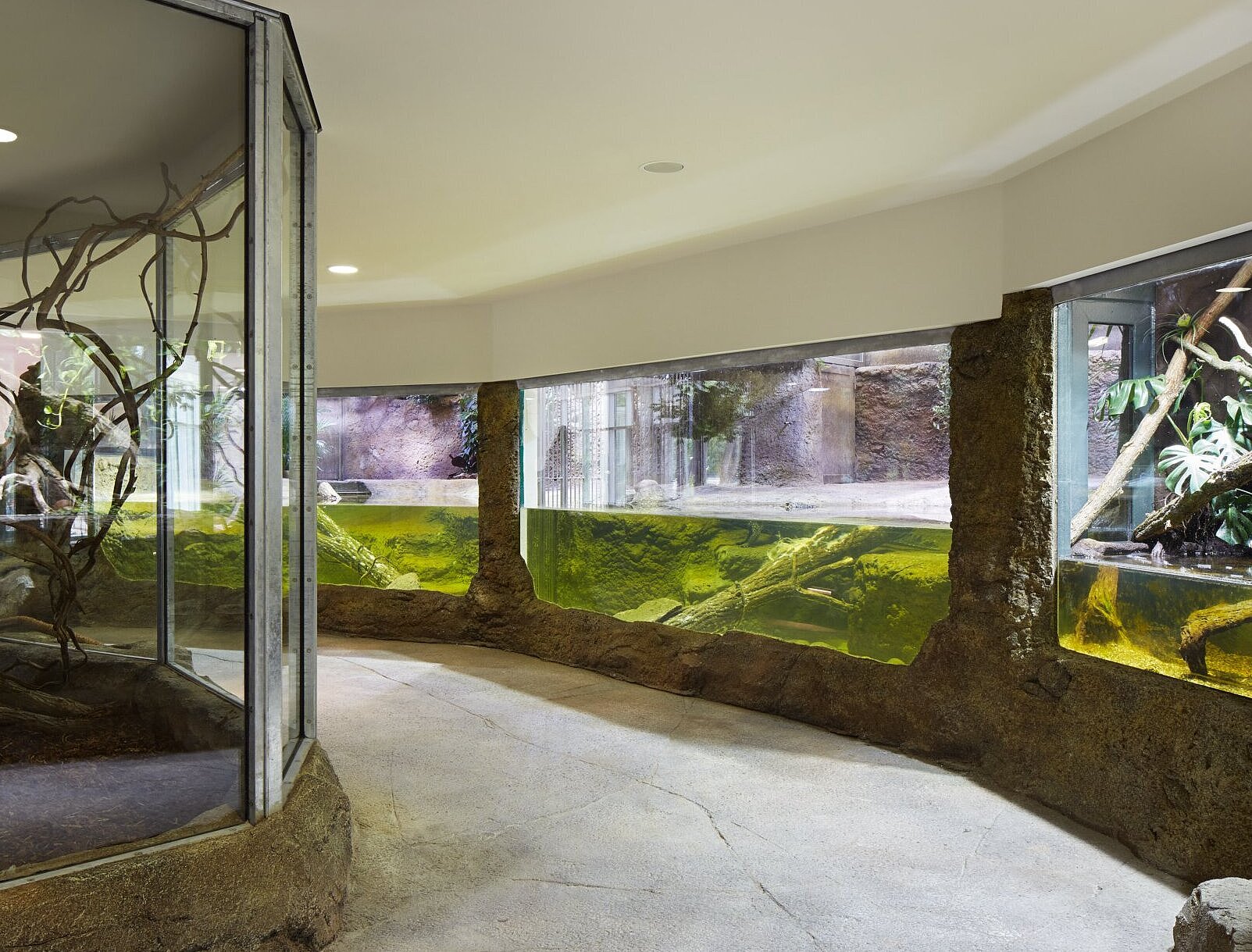 Zu sehen sind die Terrarien für die Reptilien, in denen verschiedene Arten gehalten werden.