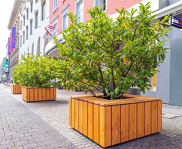 Neue Pflanzkübelummantelungen in der Herrenstraße