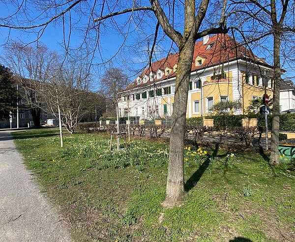 Auf dieser Grünfläche soll der neue PikoPark entstehen.