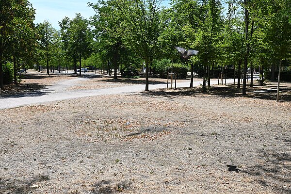 Verbrannte Rasenflächen in Grünanlage.