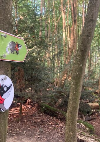 Das Bild zeigt einen kleinen Wegweiser zum Pfad "WaldWelt".