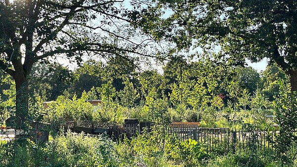 Gestaltungsbeispiel eines Urbanen Waldgartens in Berlin Britz